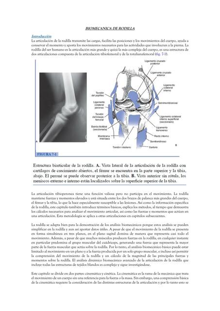 BIOMECANICA DE RODILLA COMPLETO