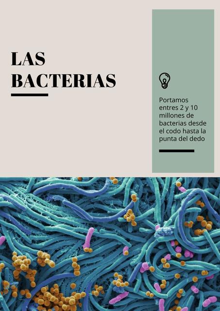 Las Bacterias 