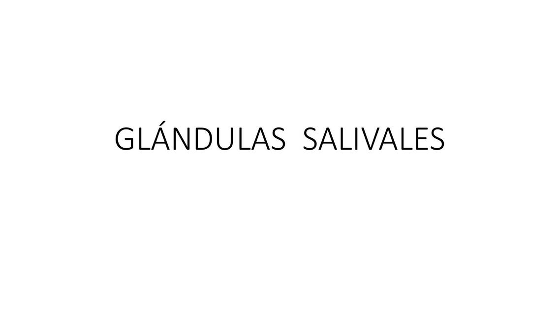 Glándulas Salivales