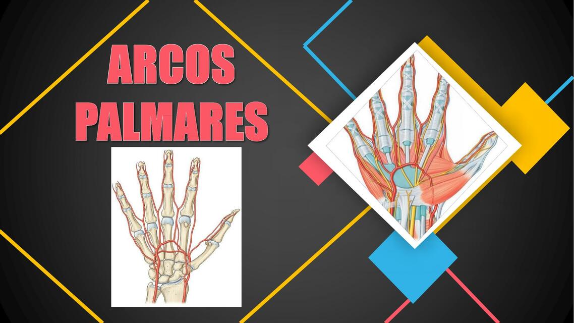 Arcos palmares