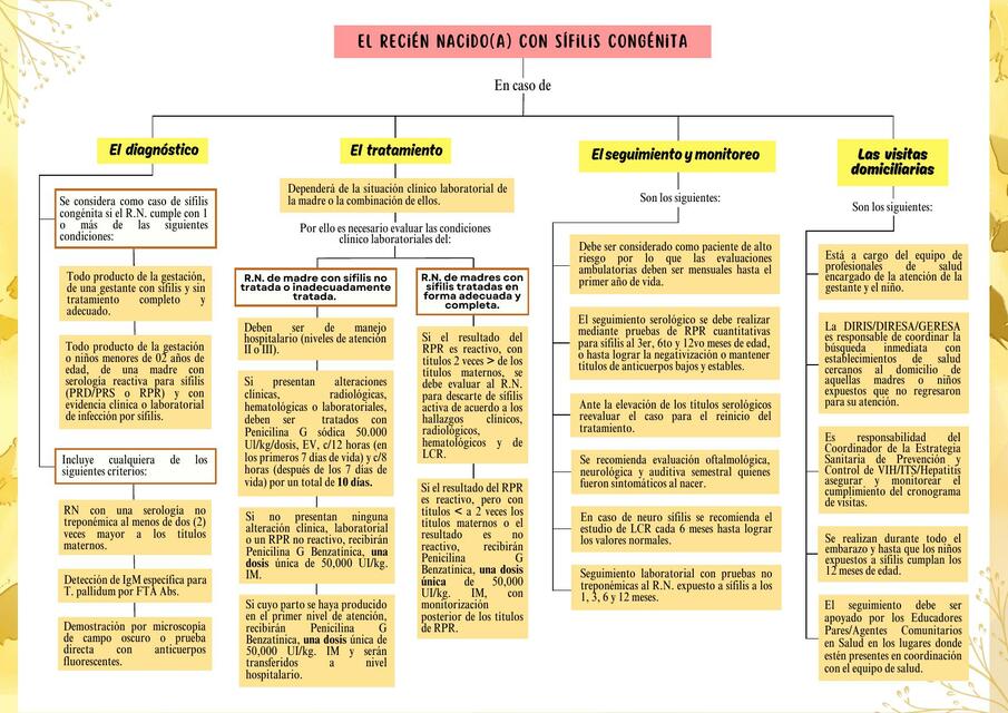 ORGANIZADOR GRAFICO DEL VIH