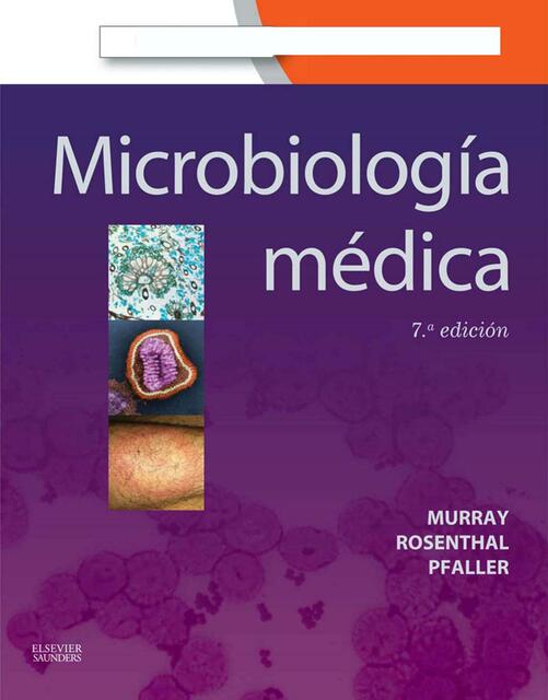 Microbiologia Medica de Murray 7ma Edicion compres