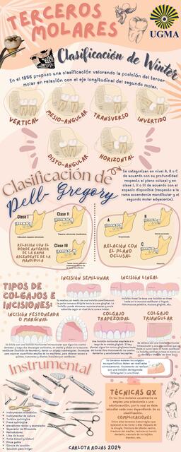 Infografía Cirugía