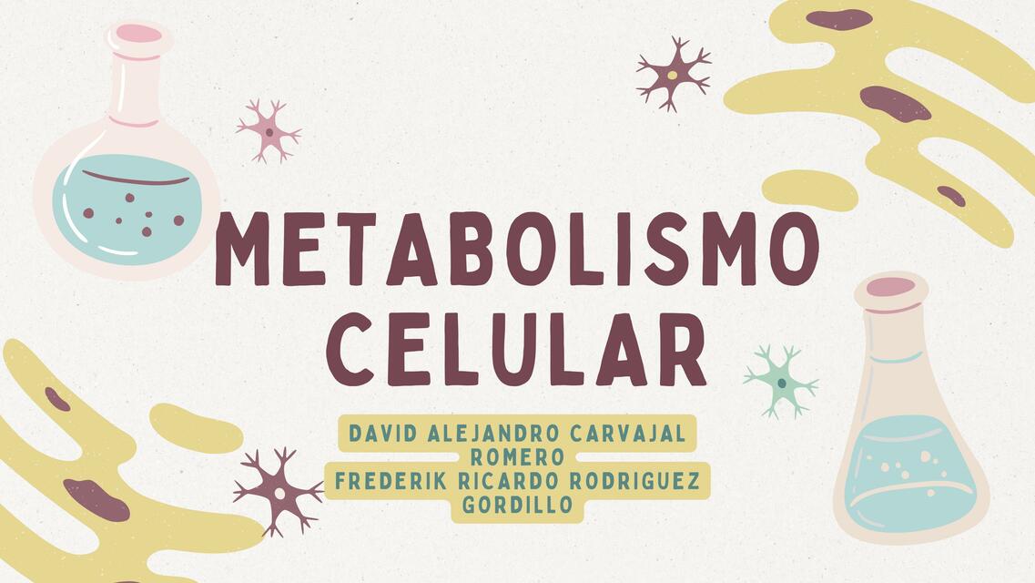 Metabolismos celular