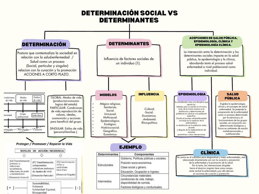 Mapa conceptual Determinantes vs Determinación Social