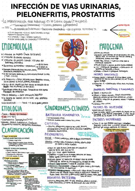 INFECCIÓN DE VIAS URINARIAS