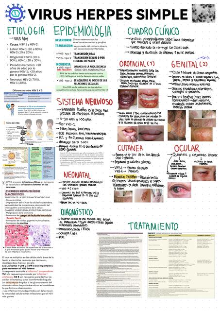 VIRUS HERPES SIMPLE