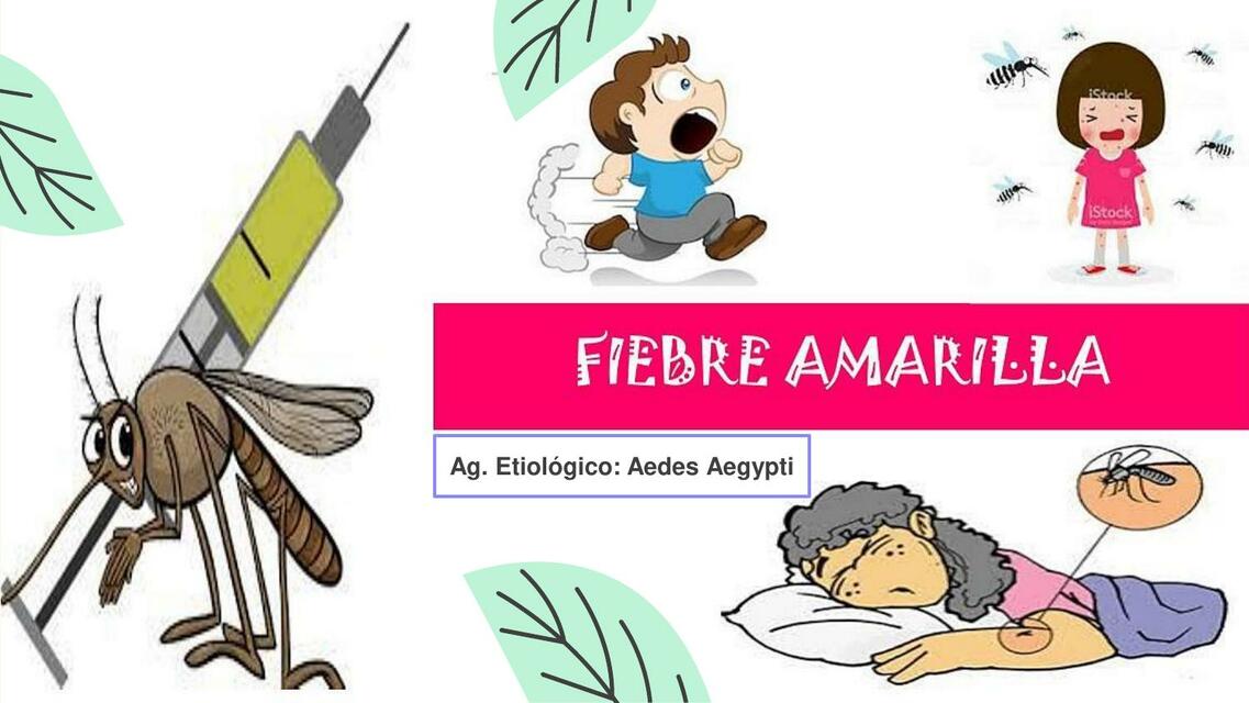 FIEBRE AMARILLA