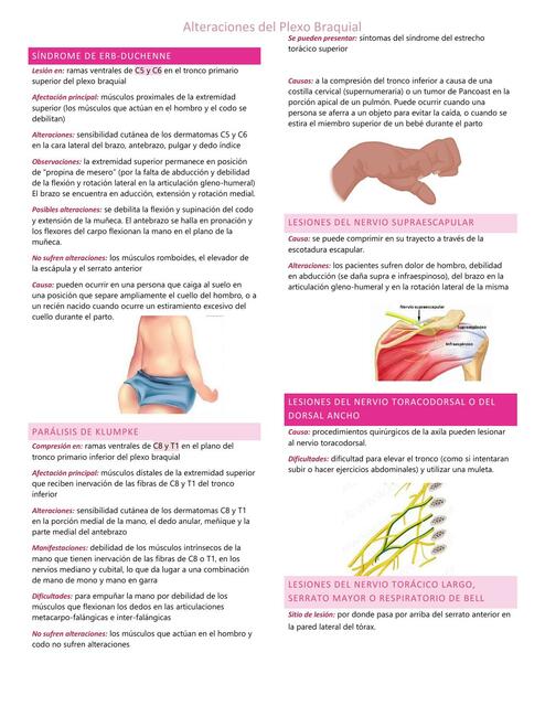 Lesiones en el plexo braquial