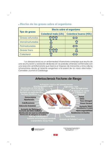 AMINOÁCIDOS ESENCIALES EN EL SER HUMANO