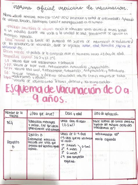 Esquema vacunación 0 9 anos