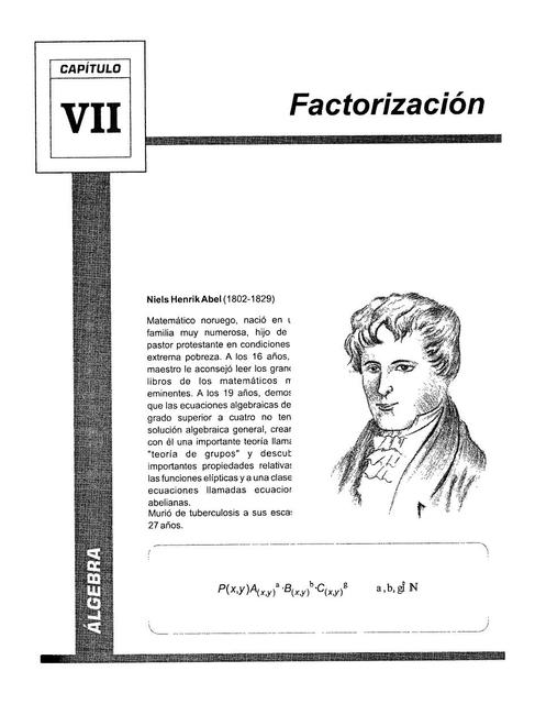 7Factorizacion algebra