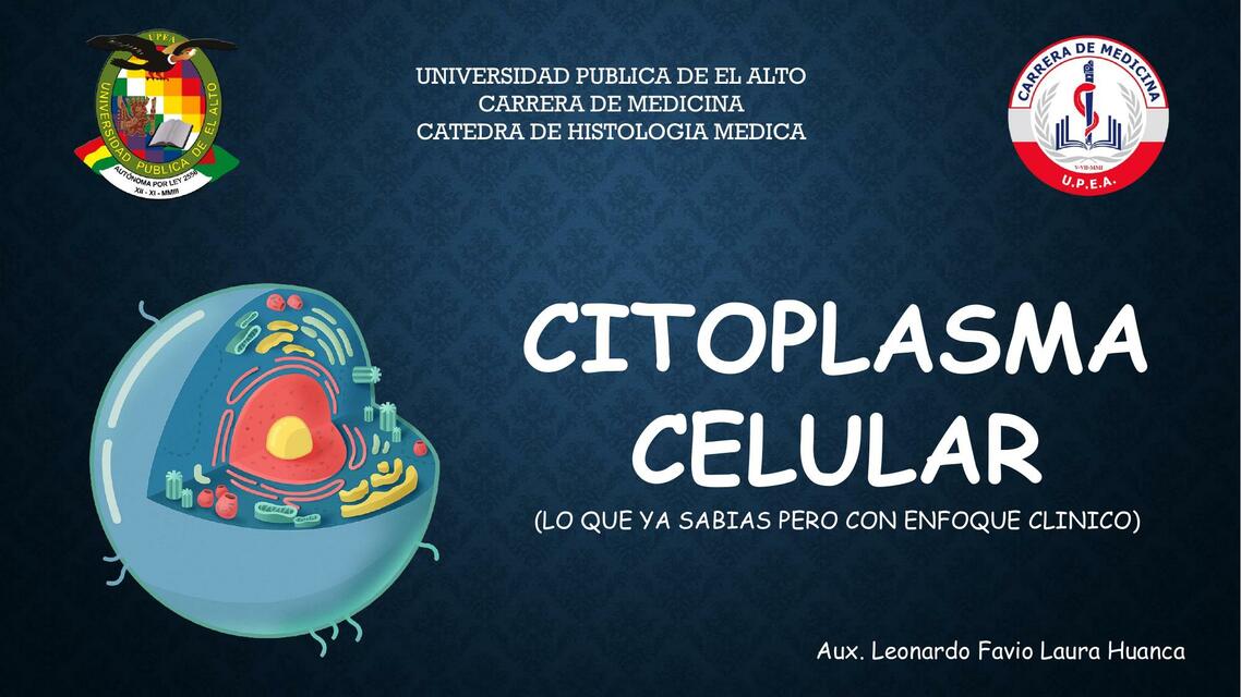 CITOPLASMA CELULAR HISTOLOGIA MEDICA