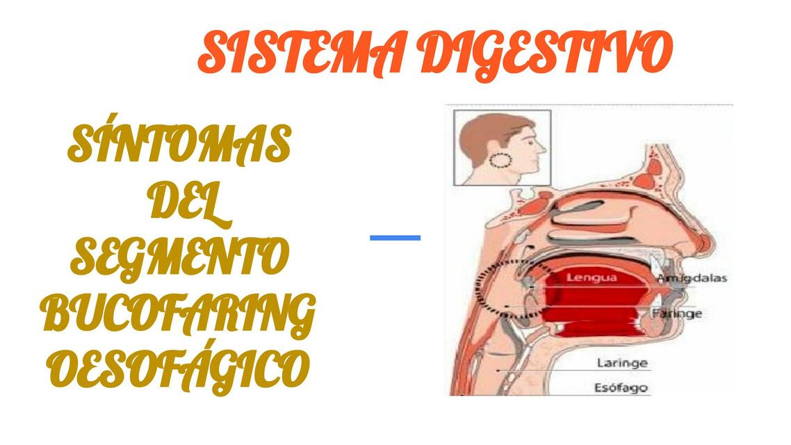 Semiologia DIGESTIVA pptx