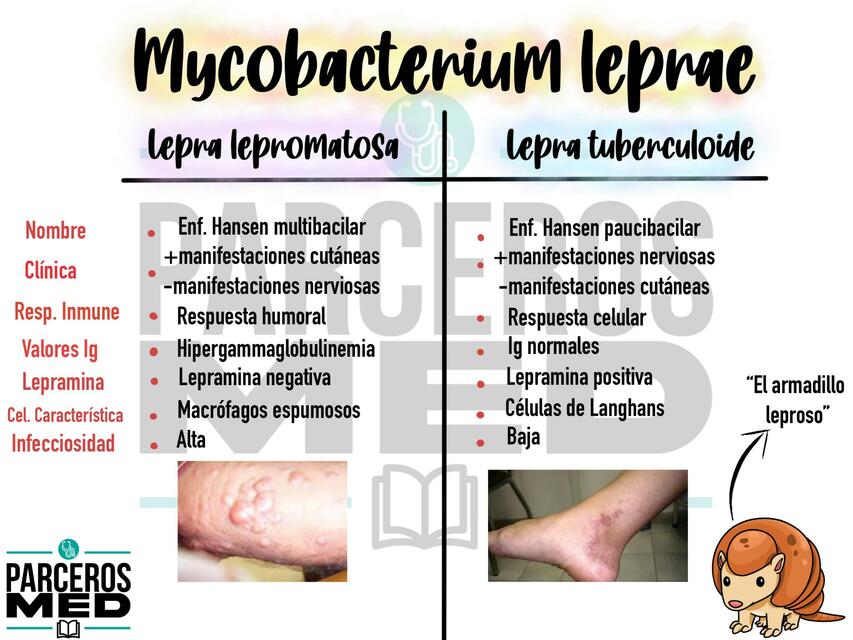 Cuandro comparativo Lepra 1