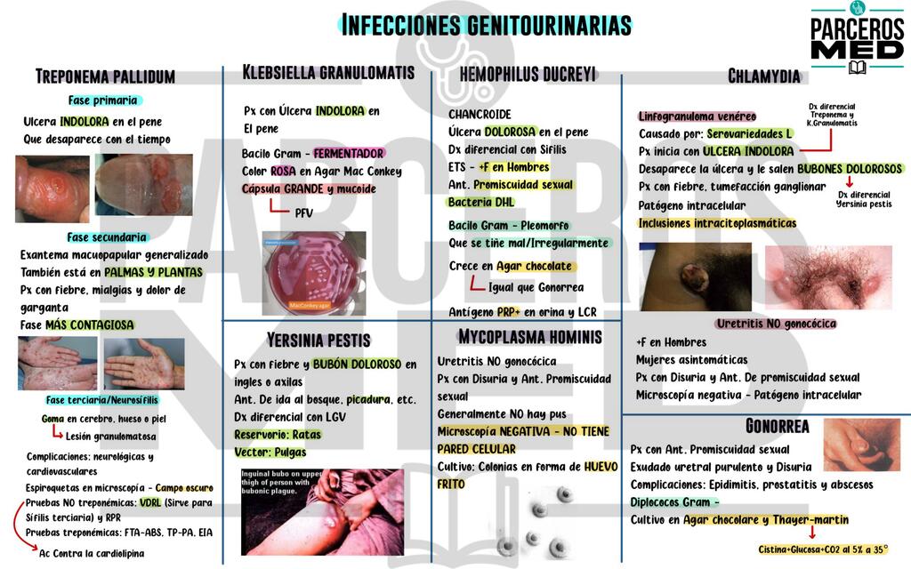 Infecciones Genitourinarias pdf