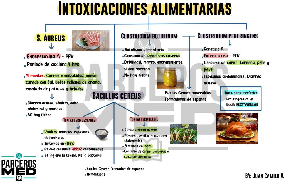 Mapa Intoxicaciones Alimentarias