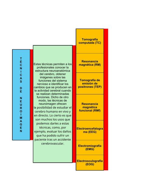 Tecnicas de Neuroimagen