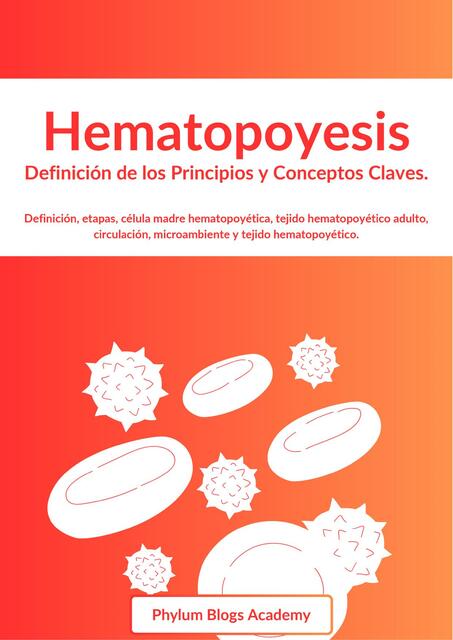 Hematopoyesis: Resumen y Conceptos Claves