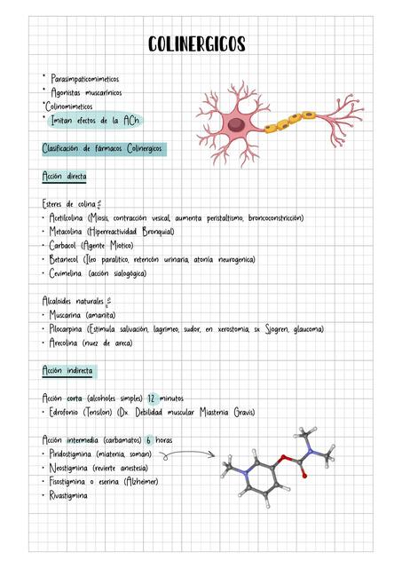 colinergicos CLASE