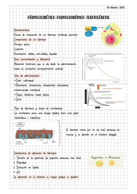 FARMACOCINPETICA Y FARMACODINAMIA Clase 2