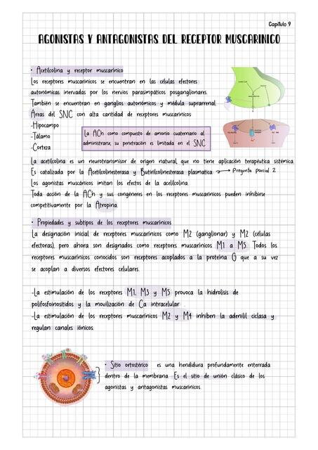 Capítulo 9 AGONISTAS Y ANTAGONISTAS DEL RECEPTOR MUSCARINICOS GOODMAN Y GILMAN