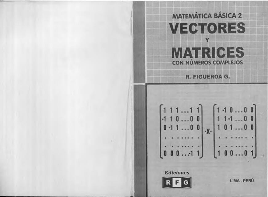 Matemática Básica 2 Vectores Y Matrices   Ricardo F