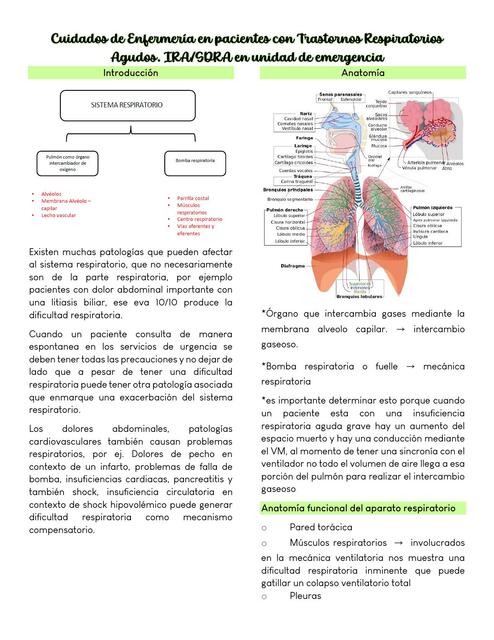 Cuidados de Enfermería en pacientes con Trastornos Respiratorios