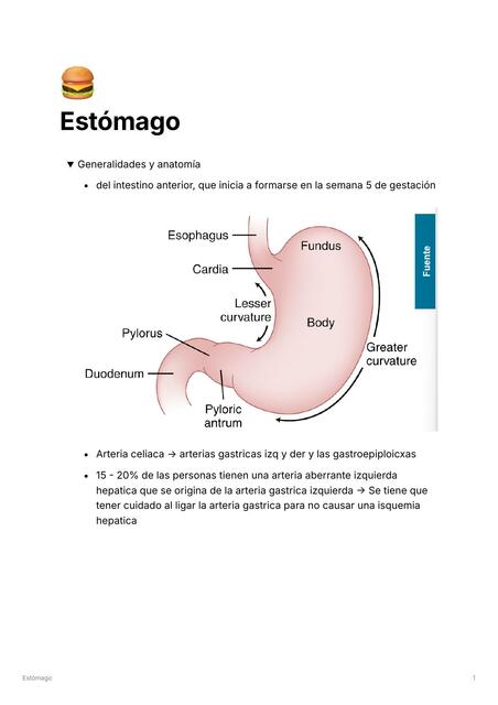 Preguntas enfermedad acido peptica