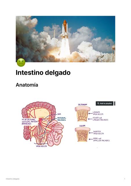 Patología quirurgica de intestino delgado