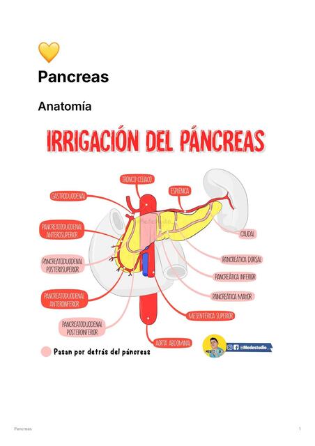 Patologia quirurgica de pancreas