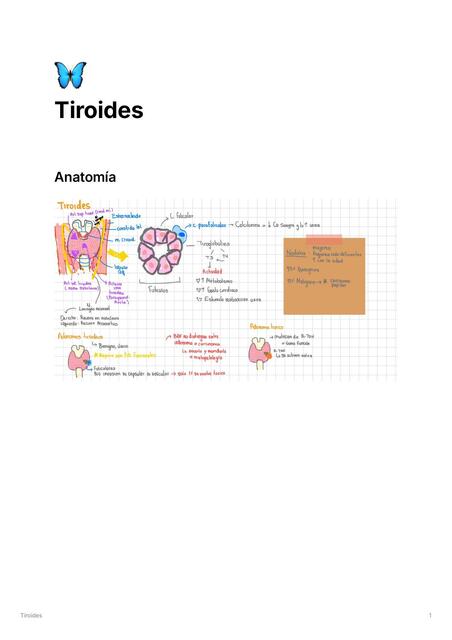 Mini guia Patologia tiroidea