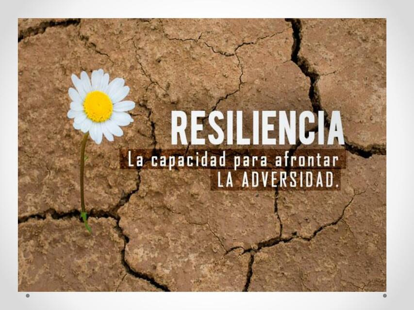 Resiliencia 3