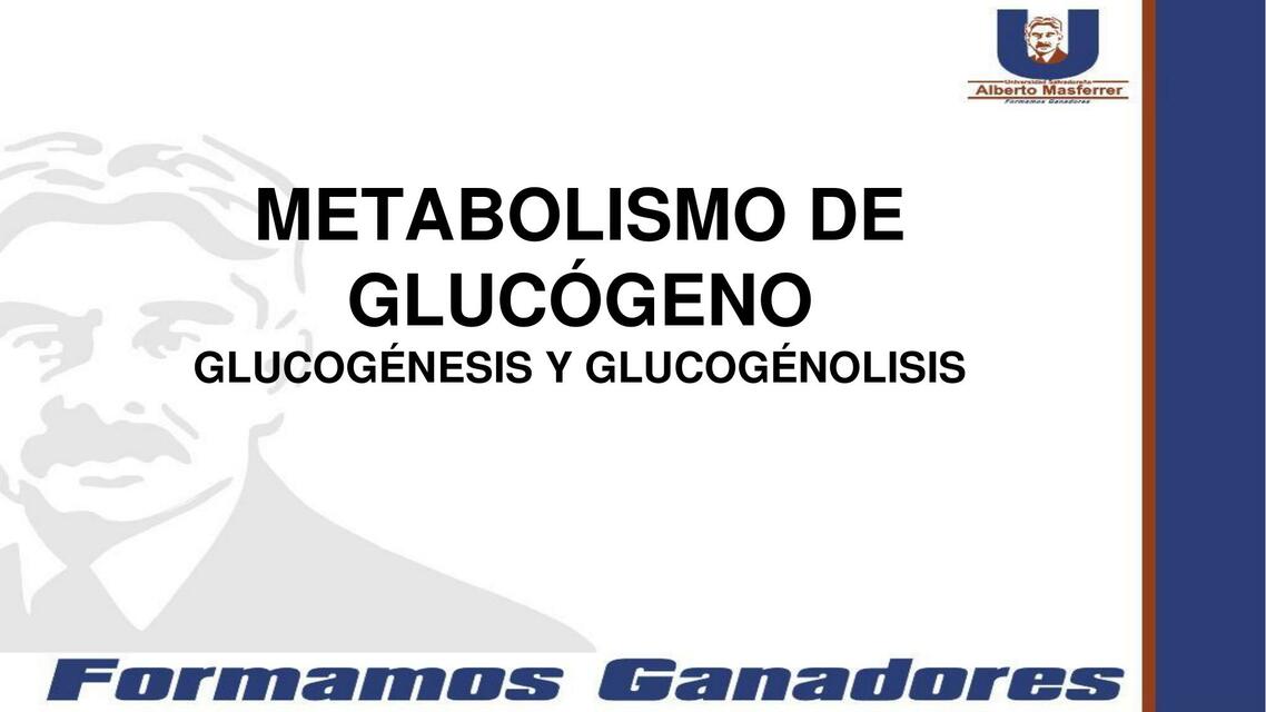 Metabolismo del glucogeno Glucogenesis