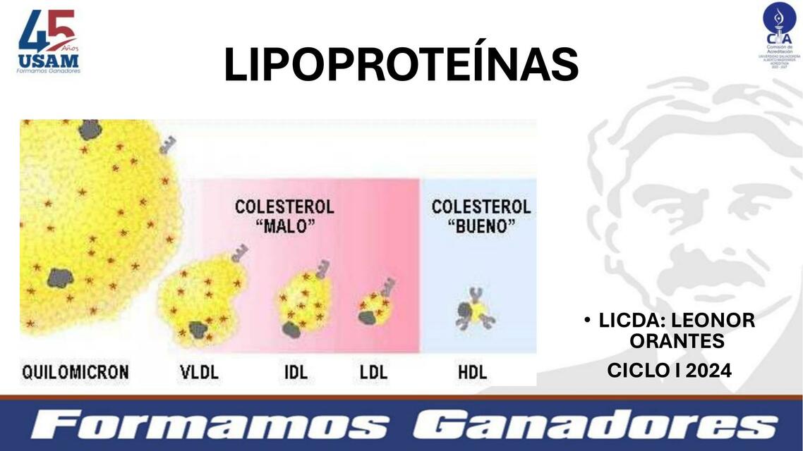 clase Lipoproteínas