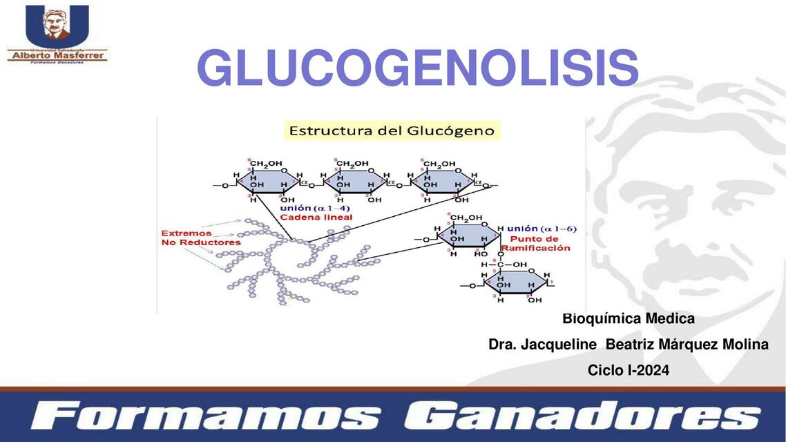 Glucogenolisis ciclo I