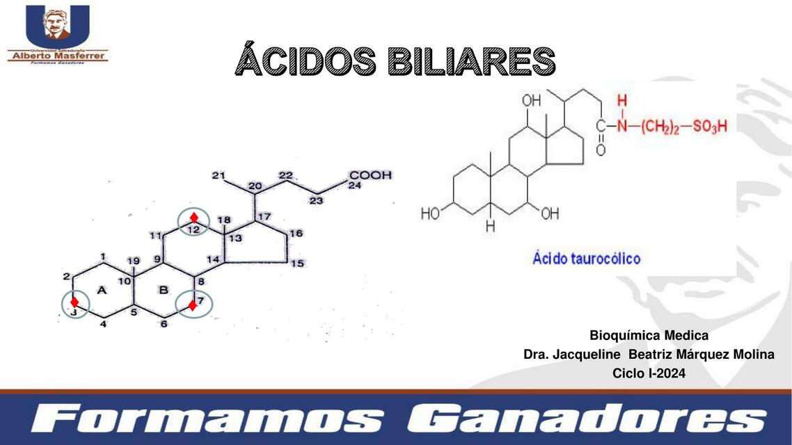 ÁCIDOS BILIARES