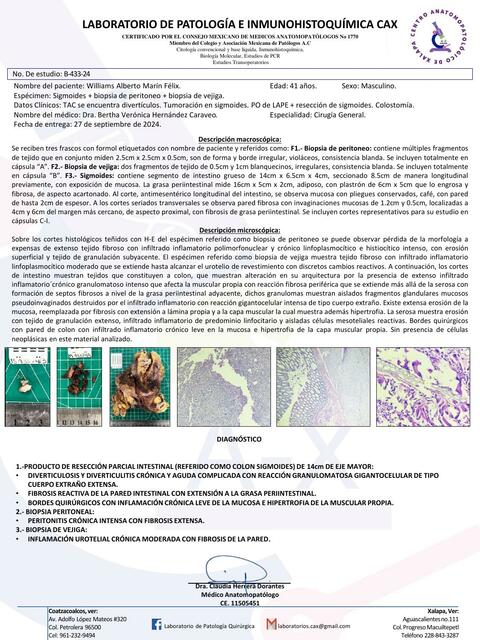 Laboratorio de patología e inmunohistoquímica CAX