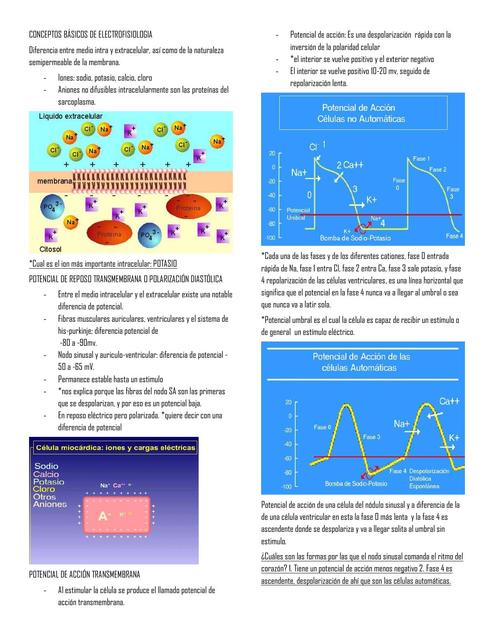 CONCEPTOS BASICOS DE ELECTROFISIOLOGIA