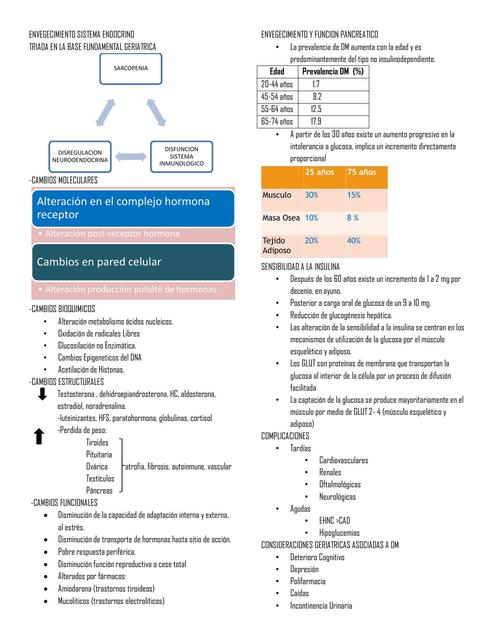 ENVEGECIMIENTO SISTEMA ENDOCRINO