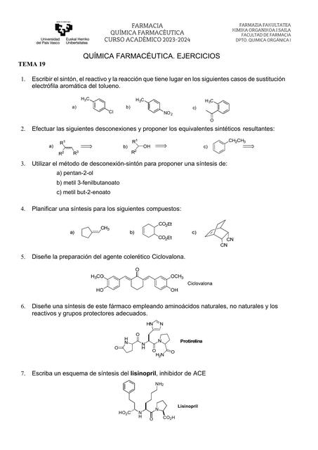 Tema 19 1