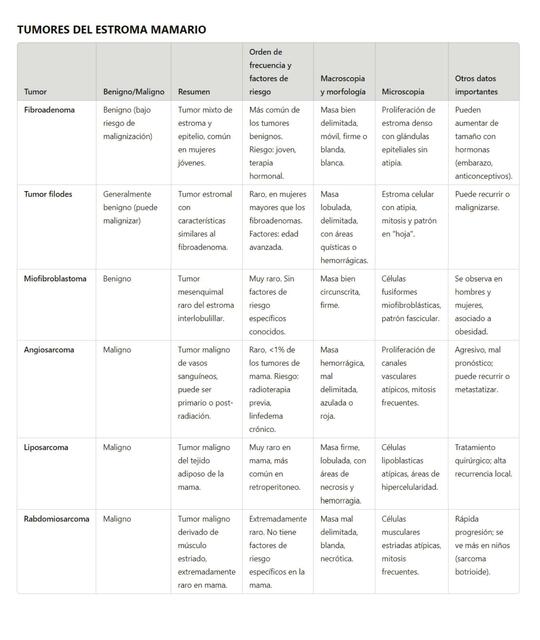 TUMORES DE MAMA - resumen