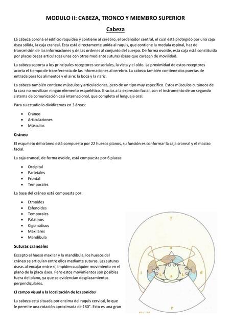 Modulo II biomecánica