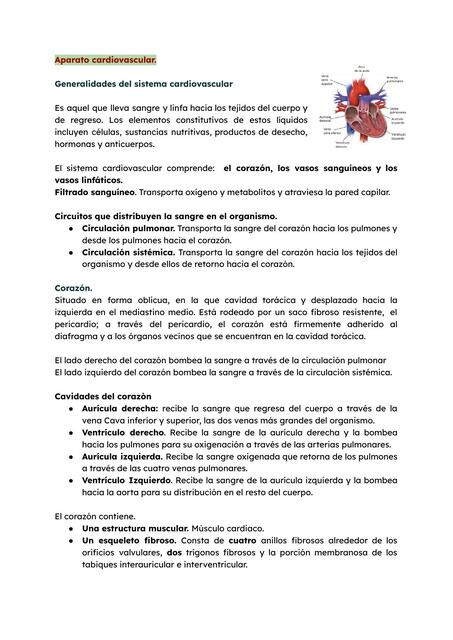 Sistema Cardiovascular Resumen