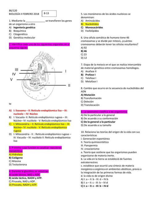 A2 Feb RESUELTO