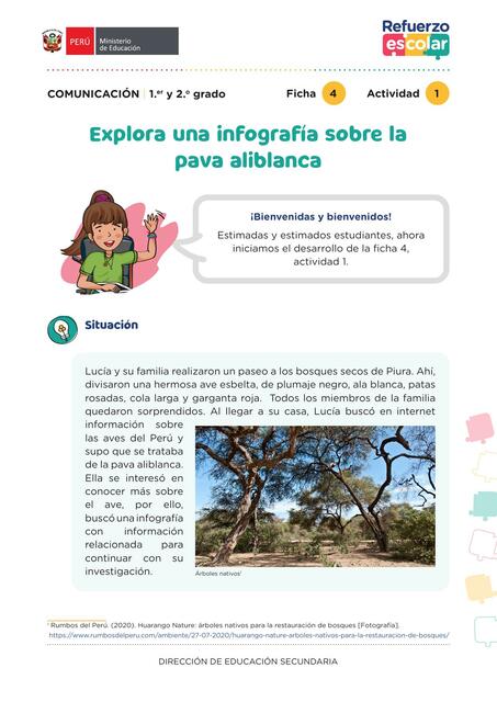 Refuerzo Infografia semana 6