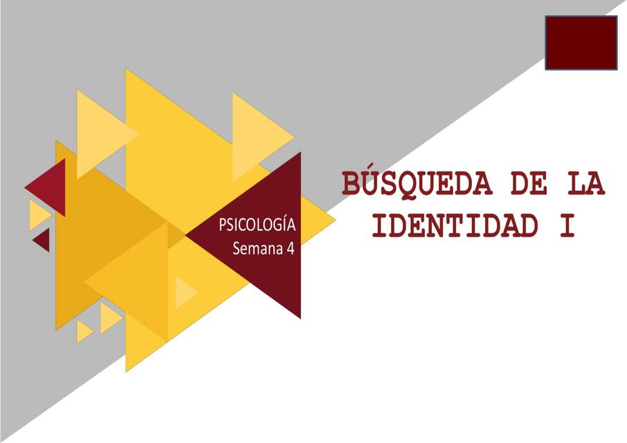 Semana 4 Búsqueda de Identidad I