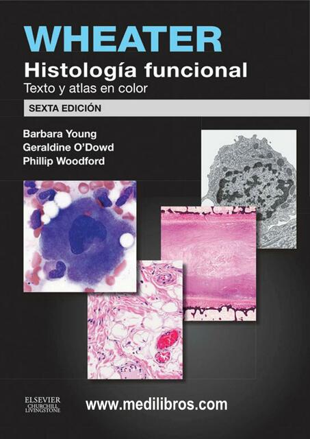 pdfcoffee com histologia funcional de wheater 6ta