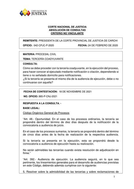 CORTE NACIONAL DE JUSTICIA - ABSOLUCION DE CONSULTAS