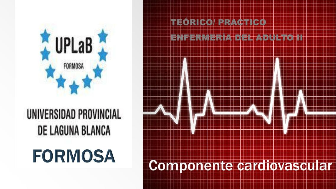 Componente cardiovascular COMPLETO